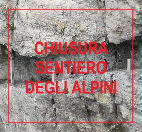 Ordinanza n. 547/2020